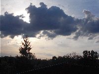 DSCN5035h.jpg