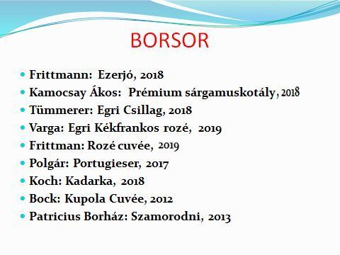 z99borsor.jpg