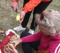 IMG_0127hh.jpg