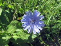 IMG_0300h.jpg