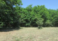 IMG_0348h.jpg