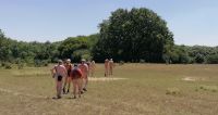 IMG_20200705_120620h.jpg