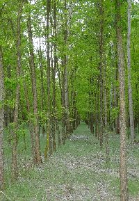 DSC00837h.jpg