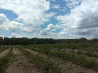 IMG_20210530_123815h.jpg