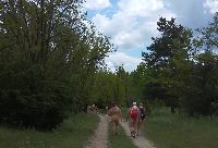IMG_20210530_130630h.jpg