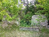 IMG_20210530_151539h.jpg