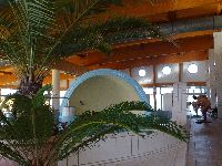 DSC01788h.jpg