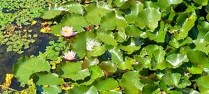 20220618_103338h.jpg