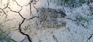 20220618_112204hh.jpg