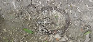 20220618_114703h.jpg