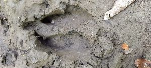 20220618_115633hh.jpg