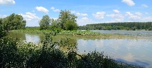 20220618_120806h.jpg