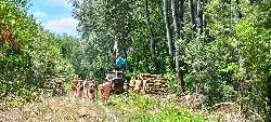 20220618_124742h.jpg