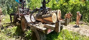 20220618_125059h.jpg