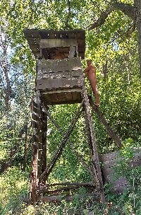 20220618_132153h.jpg