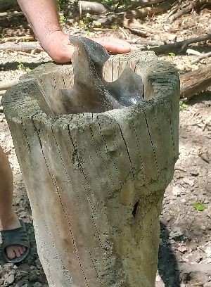 20220618_132656h.jpg