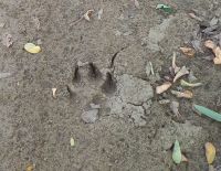 20220910_130823q.jpg