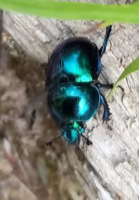 20240525_115045h.jpg