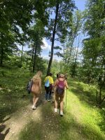 IMG_1375h.jpg