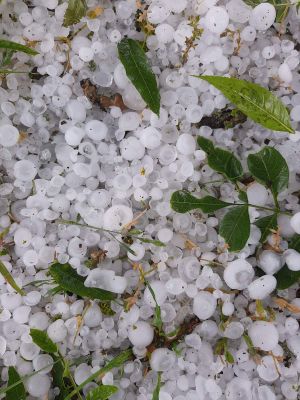 kszl01.jpg