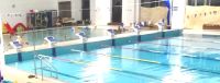 DSC00290h.jpg