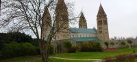 20250322_115227h.jpg