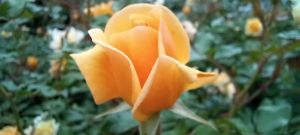 20250518_105951hh.jpg