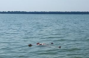 20250615_162710h.jpg