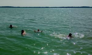 IMG_20250615_155834h.jpg