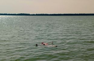 IMG_20250615_162710h.jpg