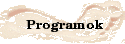 program